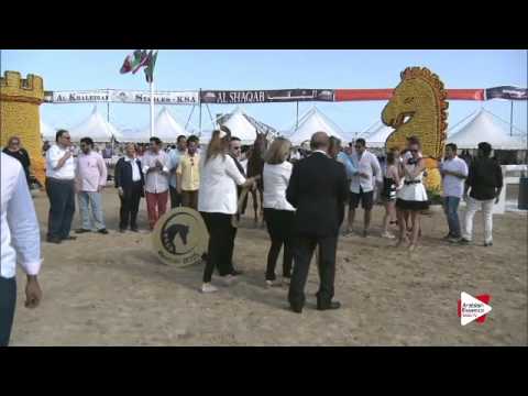 1st place N.52 DELIGHT'S DIVAH RB - Menton 2015 - Junior Female Championship (Class 13)