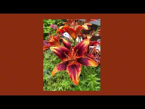 RUVA - 925 (sped up) 