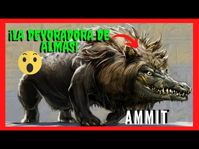 Vídeo relacionado con Ammit Mitología Egipto Antiguo Egipto Retro Camiseta