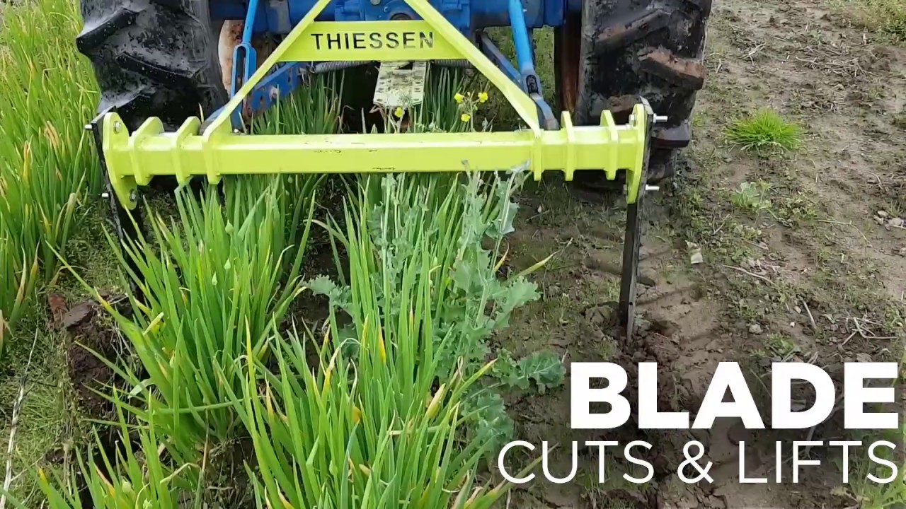 Improve Harvesting Efficiency with the Thiessen Undercutter/Bed Lifter