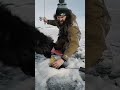 Video Thumbnail for Slapping Perch With My Dipstick