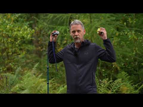 Measuring tree height with Vertex IV