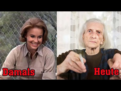 Daktari 1966-1969 / This is what the stars look like TODAY!