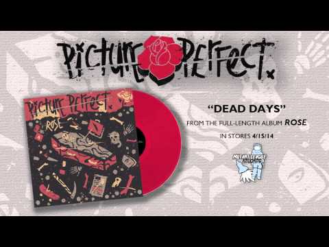 Picture Perfect - Dead Days