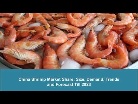download lagu mp3 mp4 China Shrimp Market, download lagu China Shrimp Market gratis, unduh video klip China Shrimp Market