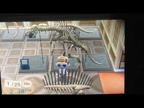 Week 4: Lots of finished fossils. (Animal Crossing New Leaf 100% challenge)