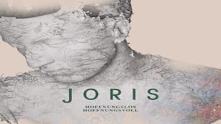 Joris Accords