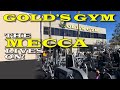 GOLDS GYM VENICE - THE MECCA LIVES ON!