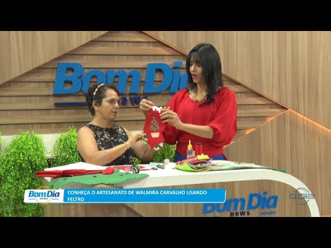 Conheça o artesanato de Walmira Carvalho usando feltro 01 11 2022