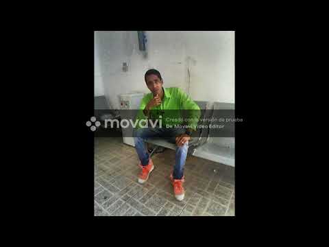 Loco lo lamento llegó el t.n.p