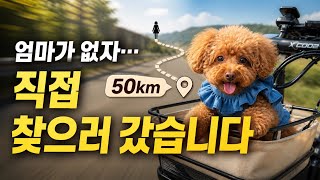 강아지가 사라진 엄마 만나러 50km 자전거로 달려왔더니..