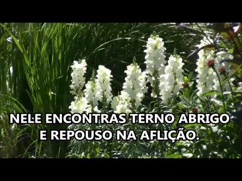 HINO 293 HL Igreja Evangélica Luterana do Brasil IELB