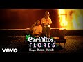Nanpa Básico, Kris R. - Cariñitos Y Flores (Official Video)