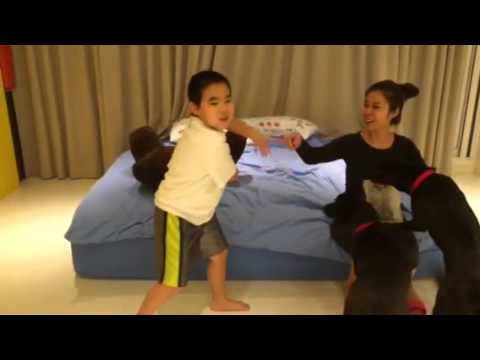 Dogs to adopt - Mary's Dogs - Crystal & Cristabel with fost