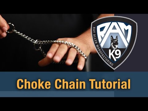 How to put on a choke chain