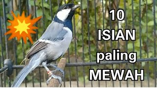 Download lagu 10 suara burung gelatik batu gacor paling MEWAH mp3 Download lagu 10 suara burung gelatik batu gacor paling MEWAH mp3