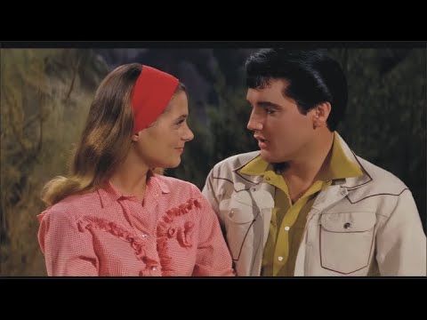 Easy question-Elvis Presley (with Lyrics)4K