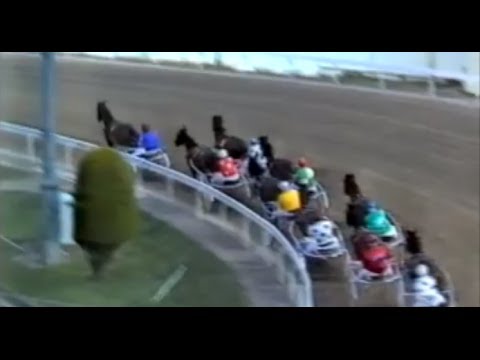Harness Racing,Harold Park-05/12/1986 (Young Pride-B.P.Hancock)