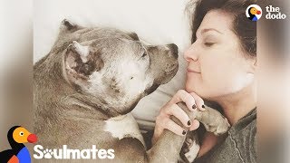 Pit Bull Dog Teaches Mom Everything She Needed To Know About Love | The Dodo by The Dodo
