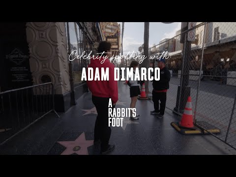 Celebrity Spotting with Adam DiMarco | Sydney Lima