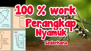 Download lagu Cara Membuat Perangkap Nyamuk Sederhana dari botol bekas mp3