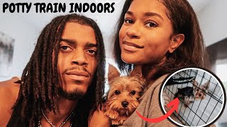 HOW WE INDOOR POTTY TRAINED OUR PUPPY FAST & EASY!