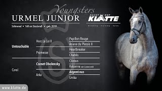 Video di URMEL JUNIOR