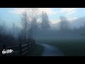Jacoo - Memory Lane 
