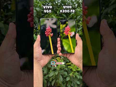 Vivo V60 Vs Vivo X200 Fe Camera Test- 10x Zooming