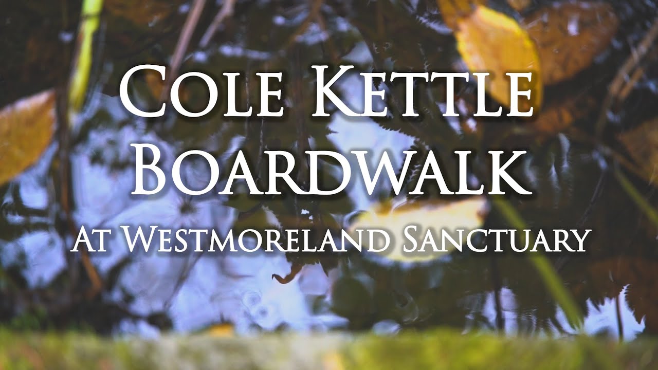 Cole Kettle Boardwalk