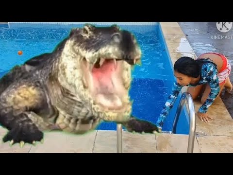 REGRAS DE CONDUTA PARA CRIANÇA NA PISCINA! Com animais