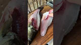 Download lagu Tidak akan pernah makan ikan bass lagi 😞 #memancing #memasak #aktivitasluarruangan mp3