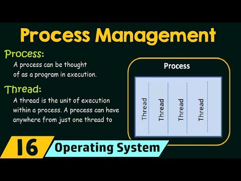 image-What is the function of processor management in operating system? 