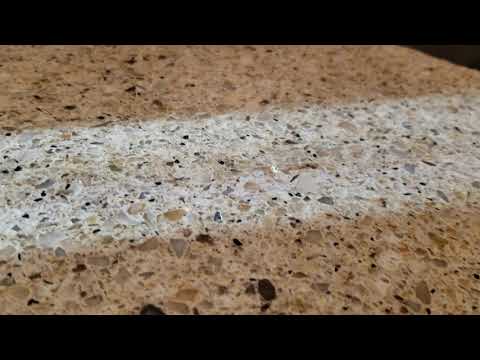 Odorous House Ants Smelling Up the Kitchen in Hightstown, NJ