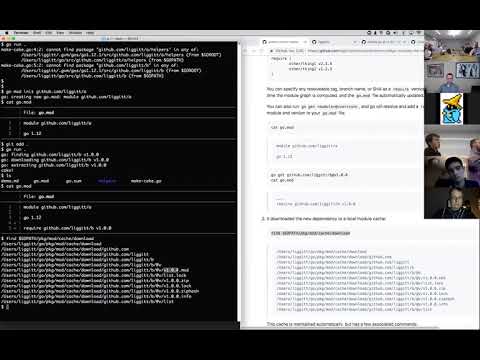 Kubernetes SIG API Machinery 20190410 - Special Go Modules by @liggitt
