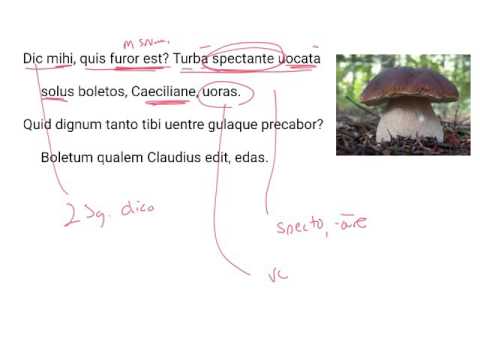 LatinPerDiem Latin Lessons: Martial, Epigrams 5