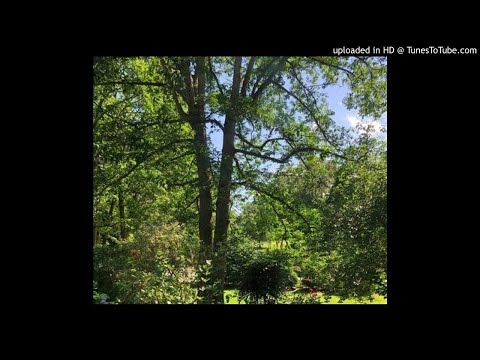 (FREE) HYPERPOP x LIEU x GLITCHCORE TYPE BEAT - SELFISH