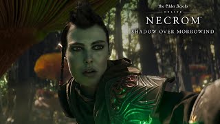 Предварительный обзор The Elder Scrolls Online: Necrom