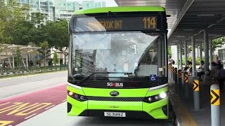 SG3249T 114
