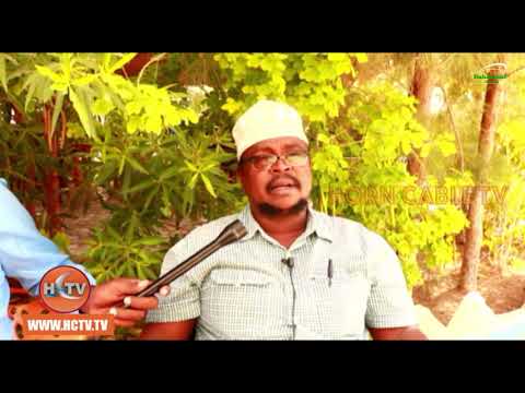 Garoowe: Guddiga Xalinta khilaafaadka ayaa ka warbixyay kulan ay la Yeesheen Musharaxiinta Garoowe: Guddiga Xalinta khilaafaadka ayaa ka warbixyay kulan ay la Yeesheen Musharaxiinta