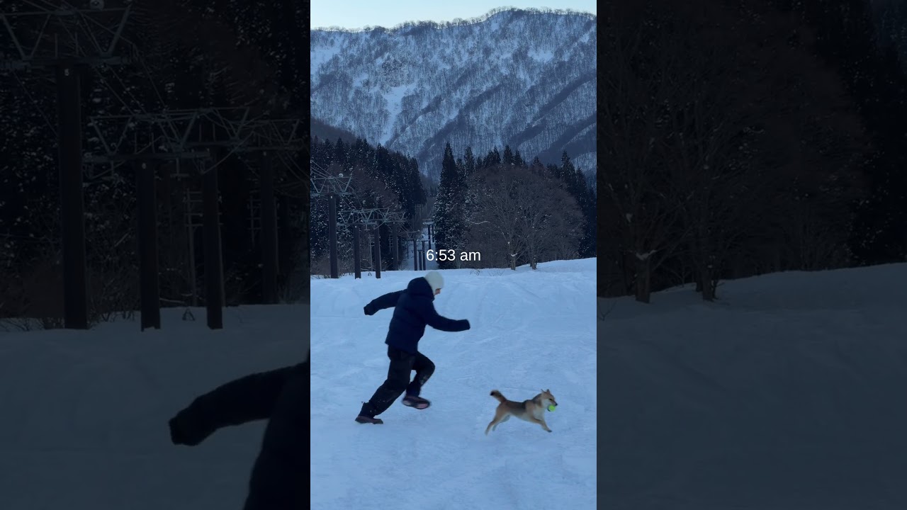 Day 1 of letting San run my morning🐕