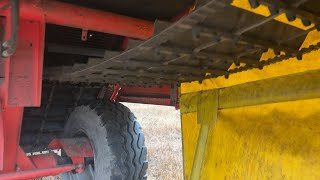 Grimme SE 75-40 potatisupptagare till salu - Bild 4 | Agroline SE Grimme SE 75-40 potatisupptagare | Bild 4 - Agroline