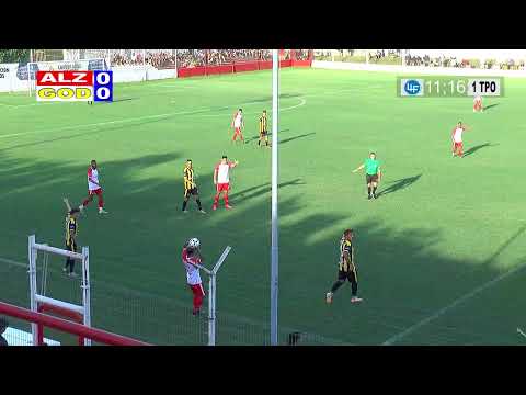 ALIANZA 2   GODEKEN 1