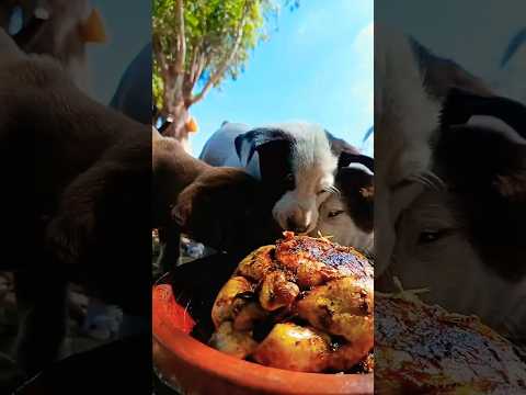 جزاء القسوة جا بسرعة ! 😳