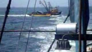 preview picture of video 'embarcacion blandi - litoral mollendo - peru'