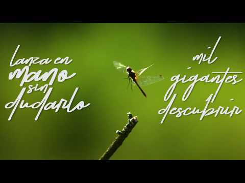 Pedro Sosa ft. Melendi - De Hidalgos y Cometas (lyric vídeo)