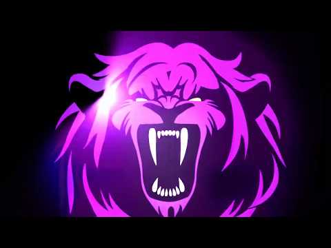 JANSKI Beeeats - Horoscope - LION