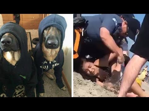 Skandal um verdeckte Ermittler, das BAMF & völlig eskalierende Polizisten...