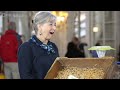 Tiffany Studios Vases Crate Staff Pick ANTIQUES ROADSHOW PBS