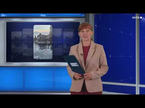 Приморские рыбаки сняли драку сивучей за место под солнцем